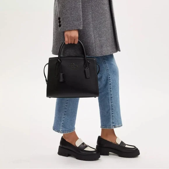 Large Andrea Carryall Bag, Used Once - Picture 6 of 9